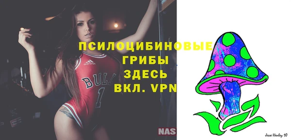 PSILOCYBIN Алексин